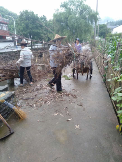 路面杂物清理