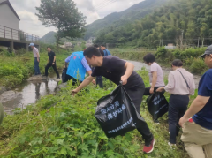 环境整治志愿活动