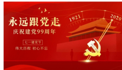 平水镇潮亭社区党员志愿者参加建党99周年庆典