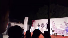 2019年幸福水乡才艺秀优秀戏曲选手大戏《红楼梦》