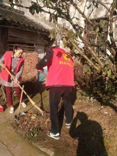 志愿者环境卫生治理活动