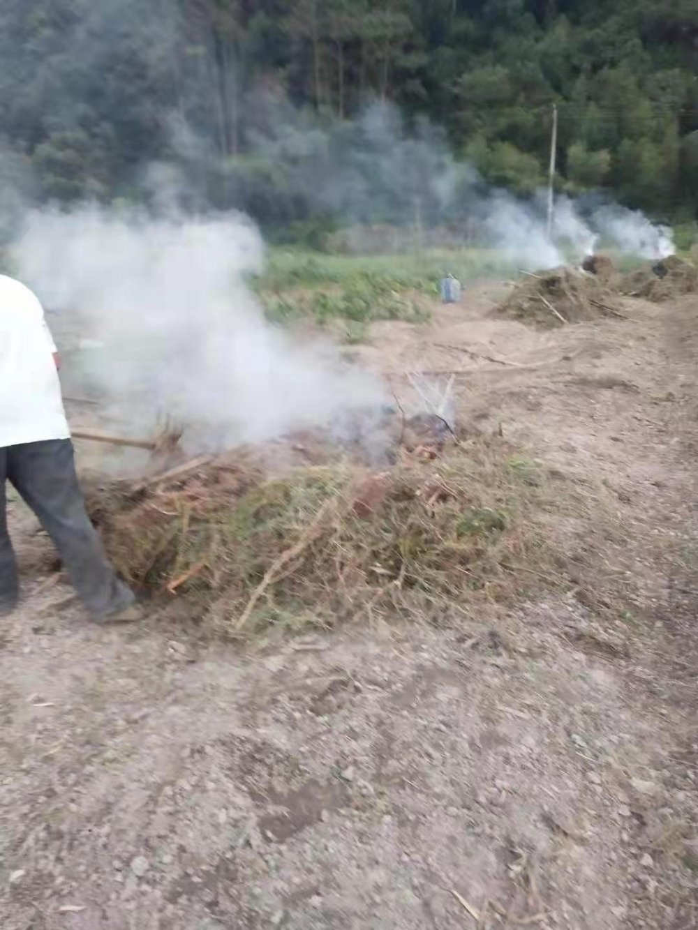 控制秸秆焚烧，环保环境，人人有责