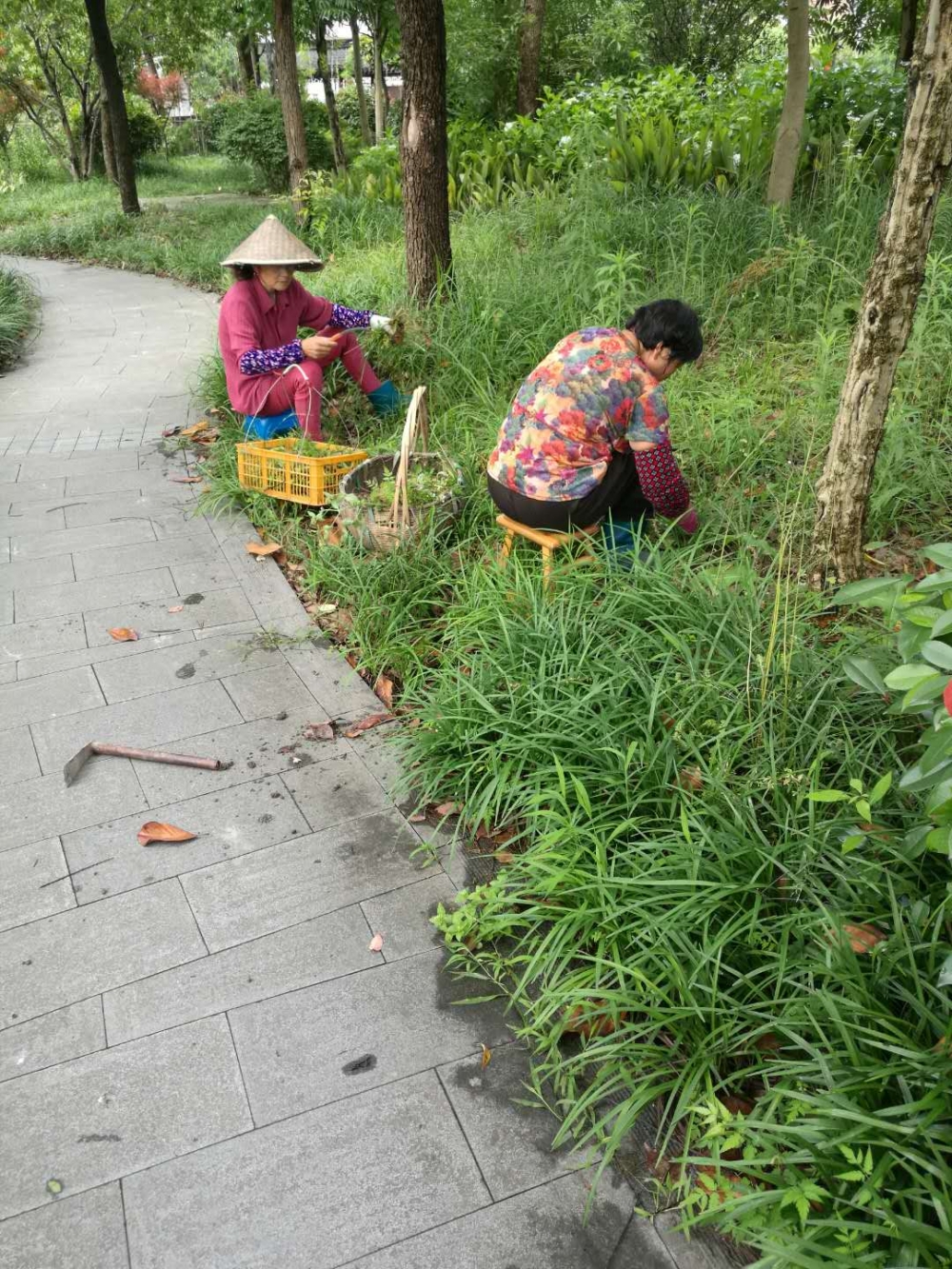 村内环境卫生整治活动