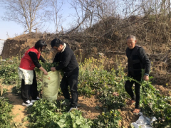 兰渚山村志愿服务活动